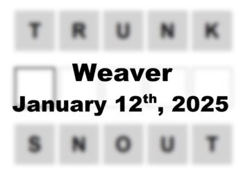 ‘Wordle’ Answer Today 1303 January 12th 2025 – Hints and Solution (1/12/25)