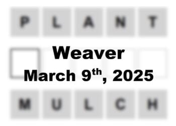 ‘Wordle’ Answer Today 1359 March 9th 2025 – Hints and Solution (3/9/25)