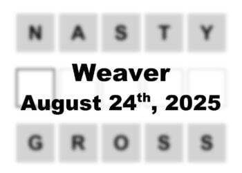 ‘Wordle’ Answer Today 1527 August 24th 2025 – Hints and Solution (8/24/25)
